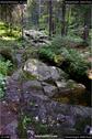 Dateiname=KleinerArbersee_47.jpg
Dateigröße=200KB
Abmessungen: 601x900
hinzugefügt am: 20. August 2017 KleinerArbersee_47.jpg