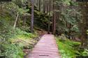 Dateiname=KleinerArbersee_58.jpg
Dateigröße=482KB
Abmessungen: 1349x900
hinzugefügt am: 20. August 2017 KleinerArbersee_58.jpg