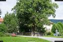 Dateiname=Lohberg_048.jpg
Dateigröße=485KB
Abmessungen: 1349x900
hinzugefügt am: 20. August 2017 Lohberg_048.jpg