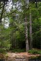 Dateiname=Riesloch_27.jpg
Dateigröße=241KB
Abmessungen: 601x900
hinzugefügt am: 10. August 2017 Riesloch_27.jpg