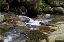 Dateiname=Riesloch_36.jpg
Dateigröße=332KB
Abmessungen: 1349x900
hinzugefügt am: 10. August 2017 Riesloch_36.jpg