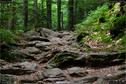 Dateiname=Riesloch_39.jpg
Dateigröße=363KB
Abmessungen: 1349x900
hinzugefügt am: 10. August 2017 Riesloch_39.jpg
