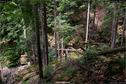 Dateiname=Riesloch_42.jpg
Dateigröße=526KB
Abmessungen: 1349x900
hinzugefügt am: 10. August 2017 Riesloch_42.jpg