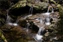 Dateiname=Riesloch_45.jpg
Dateigröße=339KB
Abmessungen: 1349x900
hinzugefügt am: 10. August 2017 Riesloch_45.jpg