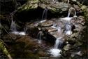 Dateiname=Riesloch_46.jpg
Dateigröße=331KB
Abmessungen: 1349x900
hinzugefügt am: 10. August 2017 Riesloch_46.jpg