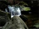 Dateiname=Riesloch_59.jpg
Dateigröße=219KB
Abmessungen: 1199x900
hinzugefügt am: 10. August 2017 Riesloch_59.jpg