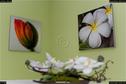 Dateiname=ArtWalk_006.jpg
Dateigröße=162KB
Abmessungen: 1349x900
hinzugefügt am: 11. September 2017 ArtWalk_006.jpg