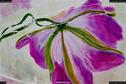 Dateiname=ArtWalk_018.jpg
Dateigröße=318KB
Abmessungen: 1349x900
hinzugefügt am: 11. September 2017 ArtWalk_018.jpg