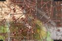 Dateiname=ArtWalk_036.jpg
Dateigröße=165KB
Abmessungen: 1349x900
hinzugefügt am: 11. September 2017 ArtWalk_036.jpg