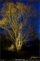 Dateiname=Murten_Lichtfest18_024.jpg
Dateigröße=223KB
Abmessungen: 601x900
hinzugefügt am: 02. Februar 2018 Murten_Lichtfest18_024.jpg