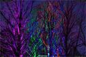 Dateiname=Murten_Lichtfest18_033.jpg
Dateigröße=415KB
Abmessungen: 1349x900
hinzugefügt am: 02. Februar 2018 Murten_Lichtfest18_033.jpg