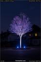 Dateiname=Murten_Lichtfest18_036.jpg
Dateigröße=81KB
Abmessungen: 601x900
hinzugefügt am: 02. Februar 2018 Murten_Lichtfest18_036.jpg