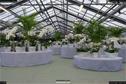 Dateiname=OrchideenWyss_008.jpg
Dateigröße=347KB
Abmessungen: 1349x900
hinzugefügt am: 03. Februar 2018 OrchideenWyss_008.jpg