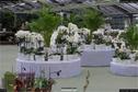 Dateiname=OrchideenWyss_010.jpg
Dateigröße=322KB
Abmessungen: 1349x900
hinzugefügt am: 03. Februar 2018 OrchideenWyss_010.jpg