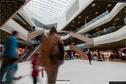 Dateiname=180310_Mall_017.jpg
Dateigröße=239KB
Abmessungen: 1354x900
hinzugefügt am: 20. März 2018 180310_Mall_017.jpg