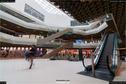 Dateiname=180310_Mall_033.jpg
Dateigröße=233KB
Abmessungen: 1354x900
hinzugefügt am: 20. März 2018 180310_Mall_033.jpg