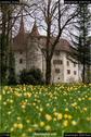 Dateiname=Landshut_33.jpg
Dateigröße=197KB
Abmessungen: 601x900
hinzugefügt am: 23. April 2018 Landshut_33.jpg