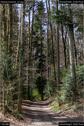 Dateiname=Steibachweiher_01.jpg
Dateigröße=243KB
Abmessungen: 601x900
hinzugefügt am: 23. April 2018 Steibachweiher_01.jpg