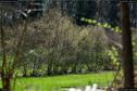 Dateiname=Steibachweiher_02.jpg
Dateigröße=479KB
Abmessungen: 1349x900
hinzugefügt am: 23. April 2018 Steibachweiher_02.jpg