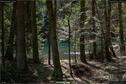Dateiname=Steibachweiher_05.jpg
Dateigröße=450KB
Abmessungen: 1349x900
hinzugefügt am: 23. April 2018 Steibachweiher_05.jpg