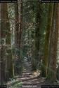 Dateiname=Steibachweiher_06.jpg
Dateigröße=169KB
Abmessungen: 601x900
hinzugefügt am: 23. April 2018 Steibachweiher_06.jpg