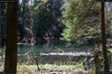 Dateiname=Steibachweiher_07.jpg
Dateigröße=317KB
Abmessungen: 1349x900
hinzugefügt am: 23. April 2018 Steibachweiher_07.jpg
