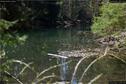 Dateiname=Steibachweiher_09.jpg
Dateigröße=231KB
Abmessungen: 1349x900
hinzugefügt am: 23. April 2018 Steibachweiher_09.jpg