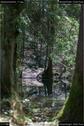 Dateiname=Steibachweiher_11.jpg
Dateigröße=148KB
Abmessungen: 601x900
hinzugefügt am: 23. April 2018 Steibachweiher_11.jpg