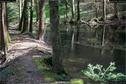 Dateiname=Steibachweiher_13.jpg
Dateigröße=384KB
Abmessungen: 1349x900
hinzugefügt am: 23. April 2018 Steibachweiher_13.jpg