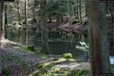 Dateiname=Steibachweiher_14.jpg
Dateigröße=317KB
Abmessungen: 1349x900
hinzugefügt am: 23. April 2018 Steibachweiher_14.jpg