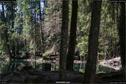 Dateiname=Steibachweiher_16.jpg
Dateigröße=383KB
Abmessungen: 1349x900
hinzugefügt am: 23. April 2018 Steibachweiher_16.jpg