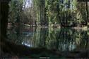 Dateiname=Steibachweiher_18.jpg
Dateigröße=337KB
Abmessungen: 1349x900
hinzugefügt am: 23. April 2018 Steibachweiher_18.jpg