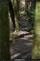 Dateiname=Steibachweiher_21.jpg
Dateigröße=85KB
Abmessungen: 601x900
hinzugefügt am: 23. April 2018 Steibachweiher_21.jpg