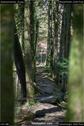 Dateiname=Steibachweiher_22.jpg
Dateigröße=125KB
Abmessungen: 601x900
hinzugefügt am: 23. April 2018 Steibachweiher_22.jpg