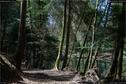 Dateiname=Steibachweiher_23.jpg
Dateigröße=379KB
Abmessungen: 1349x900
hinzugefügt am: 23. April 2018 Steibachweiher_23.jpg