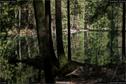 Dateiname=Steibachweiher_28.jpg
Dateigröße=312KB
Abmessungen: 1349x900
hinzugefügt am: 23. April 2018 Steibachweiher_28.jpg