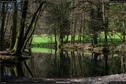 Dateiname=Steibachweiher_29.jpg
Dateigröße=383KB
Abmessungen: 1349x900
hinzugefügt am: 23. April 2018 Steibachweiher_29.jpg
