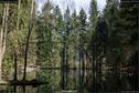 Dateiname=Steibachweiher_30.jpg
Dateigröße=439KB
Abmessungen: 1349x900
hinzugefügt am: 23. April 2018 Steibachweiher_30.jpg