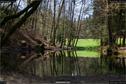 Dateiname=Steibachweiher_31.jpg
Dateigröße=389KB
Abmessungen: 1349x900
hinzugefügt am: 23. April 2018 Steibachweiher_31.jpg