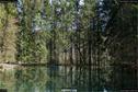 Dateiname=Steibachweiher_35.jpg
Dateigröße=435KB
Abmessungen: 1349x900
hinzugefügt am: 23. April 2018 Steibachweiher_35.jpg