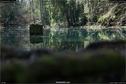 Dateiname=Steibachweiher_41.jpg
Dateigröße=202KB
Abmessungen: 1349x900
hinzugefügt am: 23. April 2018 Steibachweiher_41.jpg