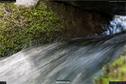 Dateiname=Steibachweiher_42.jpg
Dateigröße=214KB
Abmessungen: 1349x900
hinzugefügt am: 23. April 2018 Steibachweiher_42.jpg