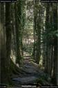 Dateiname=Steibachweiher_43.jpg
Dateigröße=138KB
Abmessungen: 601x900
hinzugefügt am: 23. April 2018 Steibachweiher_43.jpg