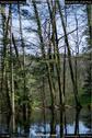 Dateiname=Steibachweiher_44.jpg
Dateigröße=239KB
Abmessungen: 601x900
hinzugefügt am: 23. April 2018 Steibachweiher_44.jpg