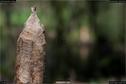 Dateiname=Steibachweiher_45.jpg
Dateigröße=114KB
Abmessungen: 1349x900
hinzugefügt am: 23. April 2018 Steibachweiher_45.jpg