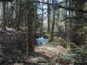 Dateiname=Steibachweiher_47.jpg
Dateigröße=442KB
Abmessungen: 1199x900
hinzugefügt am: 23. April 2018 Steibachweiher_47.jpg