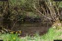 Dateiname=Steibachweiher_57.jpg
Dateigröße=402KB
Abmessungen: 1349x900
hinzugefügt am: 23. April 2018 Steibachweiher_57.jpg