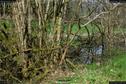 Dateiname=Steibachweiher_58.jpg
Dateigröße=414KB
Abmessungen: 1349x900
hinzugefügt am: 23. April 2018 Steibachweiher_58.jpg