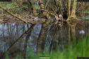 Dateiname=Steibachweiher_59.jpg
Dateigröße=355KB
Abmessungen: 1349x900
hinzugefügt am: 23. April 2018 Steibachweiher_59.jpg