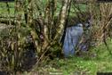 Dateiname=Steibachweiher_60.jpg
Dateigröße=328KB
Abmessungen: 1349x900
hinzugefügt am: 23. April 2018 Steibachweiher_60.jpg
